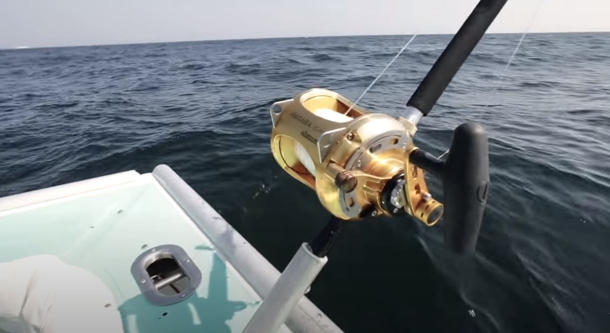 this is important to remember when buying marine fishing reels