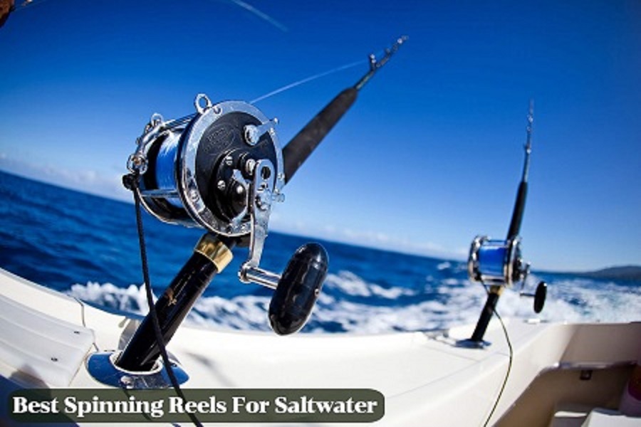 This Is Important To Remember When Buying Marine Fishing Reels