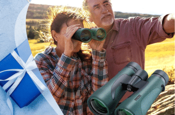 7 Best Budget Binoculars For Bird Watching