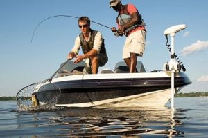 Bass Fishing Rods: Our Reviews of the 5 Top Products